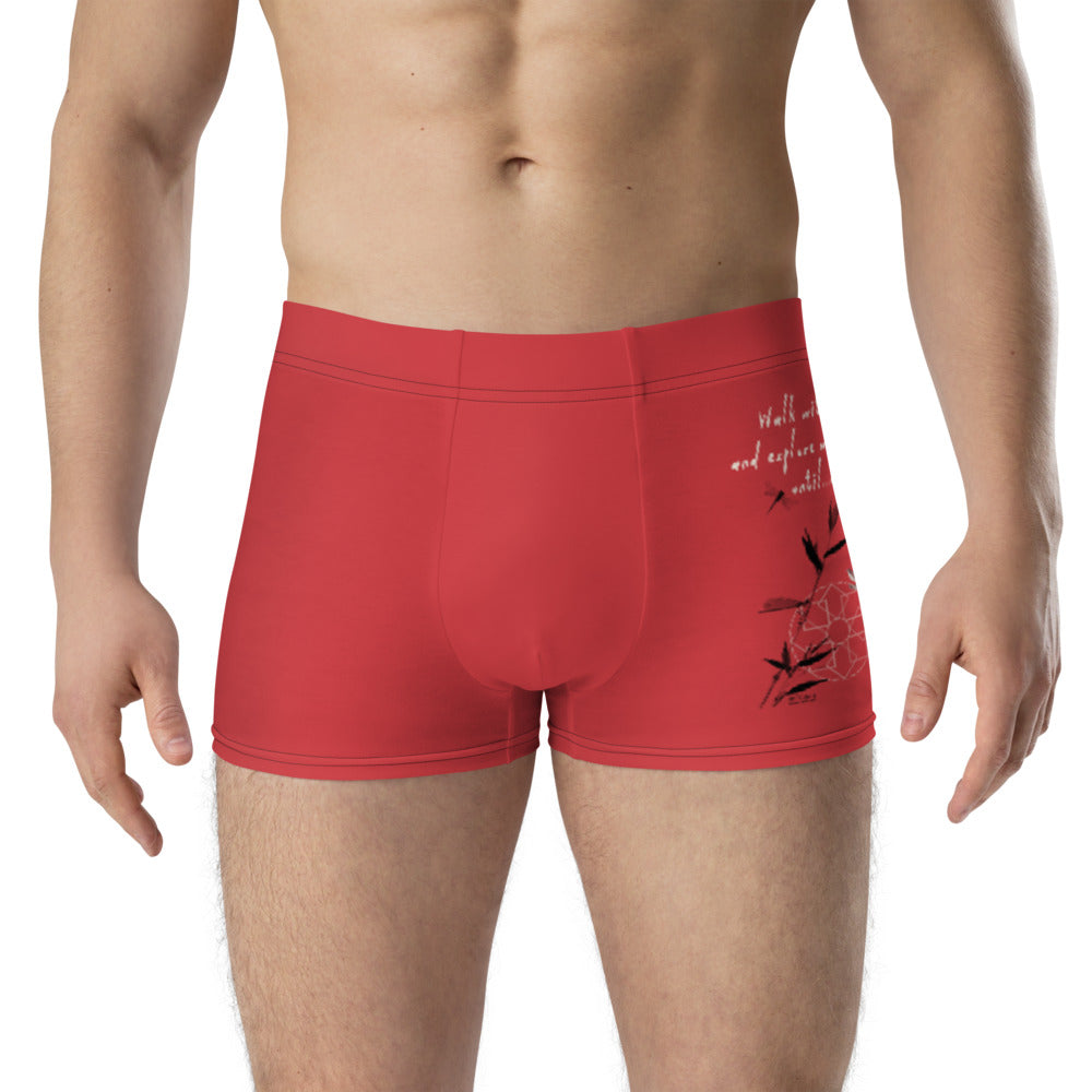 Walk With A Purpose Haiku With Dragonfly on Men's Boxer Briefs