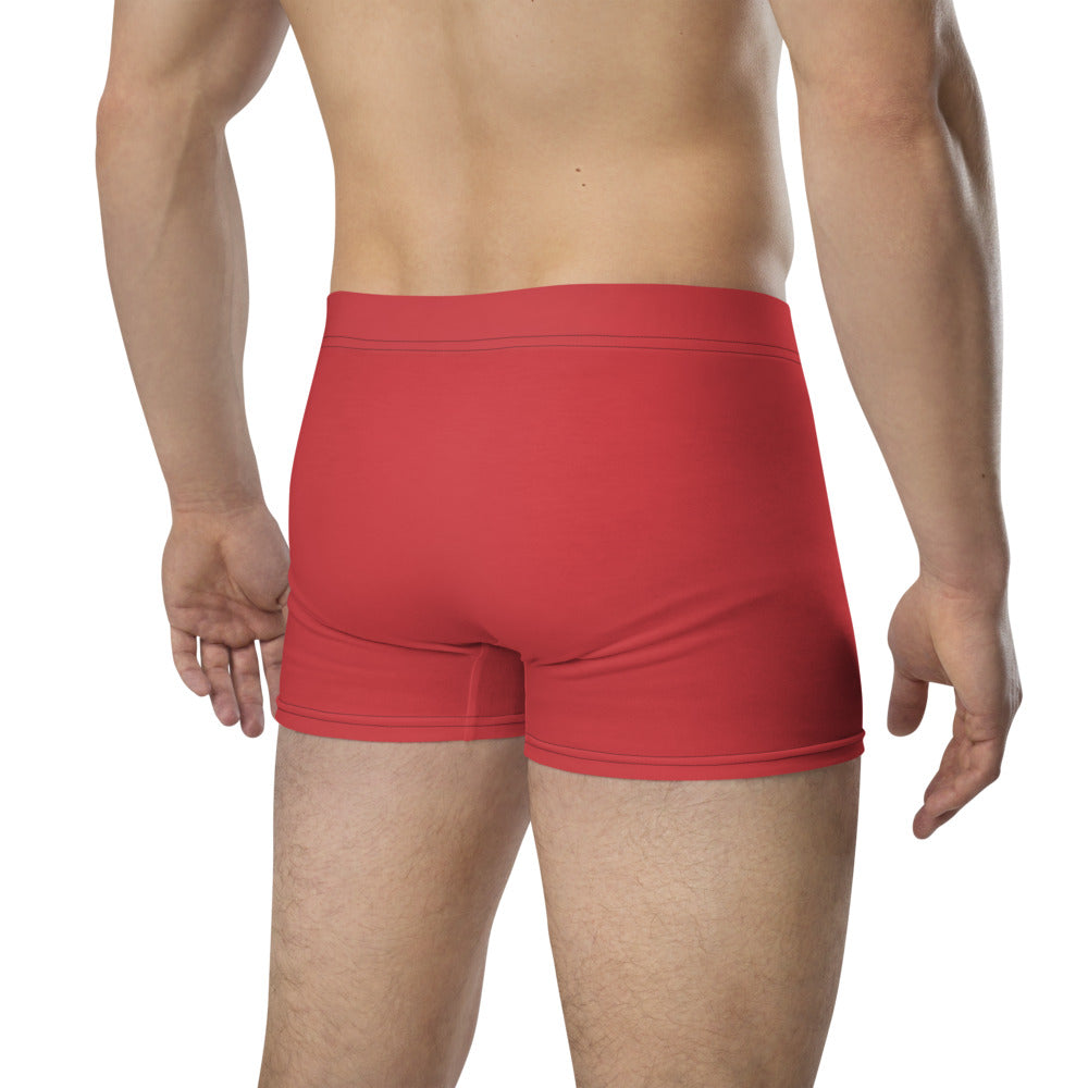Walk With A Purpose Haiku With Dragonfly on Men's Boxer Briefs