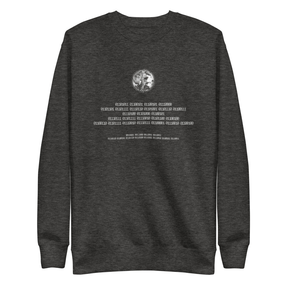 Binary Instructions To Keep Moving The World Forward With Venusian Earth In White on Unisex Fleece Pullover